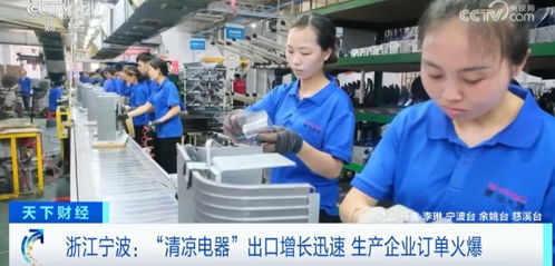 爆單 這些產品國內外賣爆了 有企業年出口額超1億美元