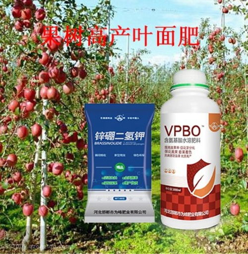 為峰肥業 專注花芽分化與著色促進，引領生物肥料技術創新